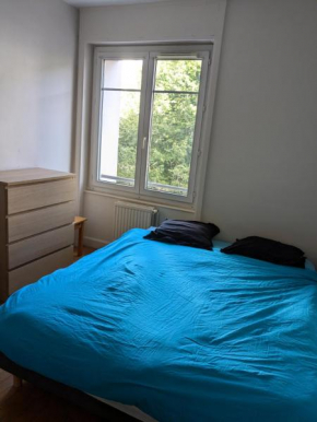 Chambre double confortable, au calme et proche du centre-ville de Lyon